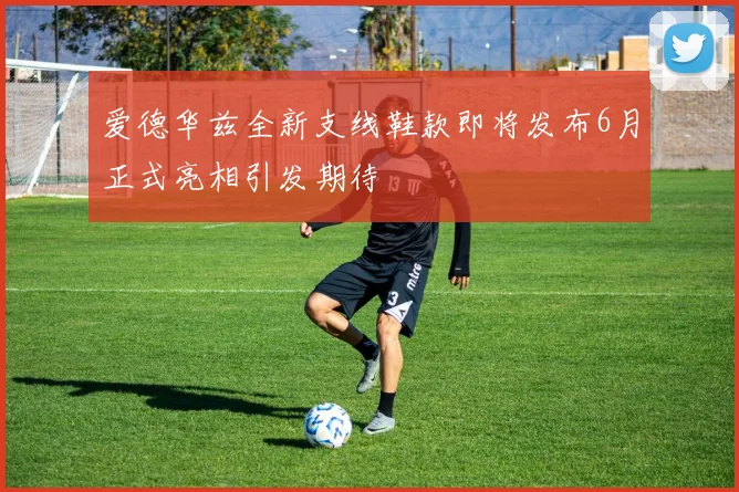 爱德华兹全新支线鞋款即将发布6月正式亮相引发期待