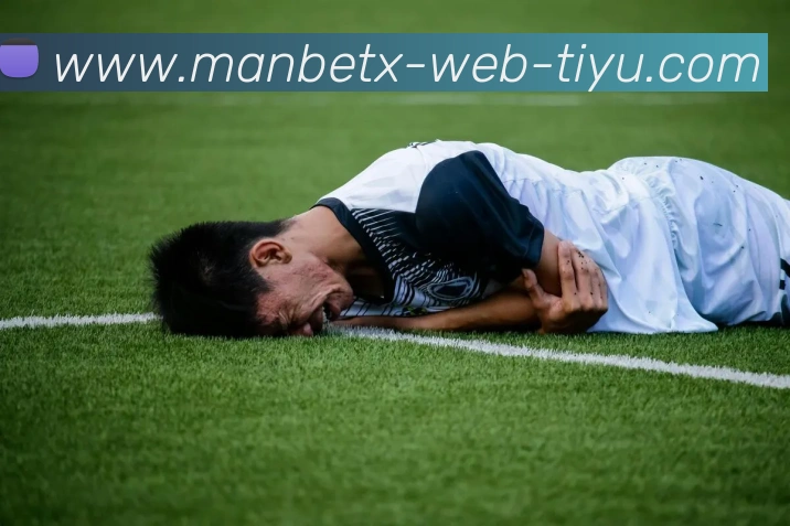 多媒体互动体验