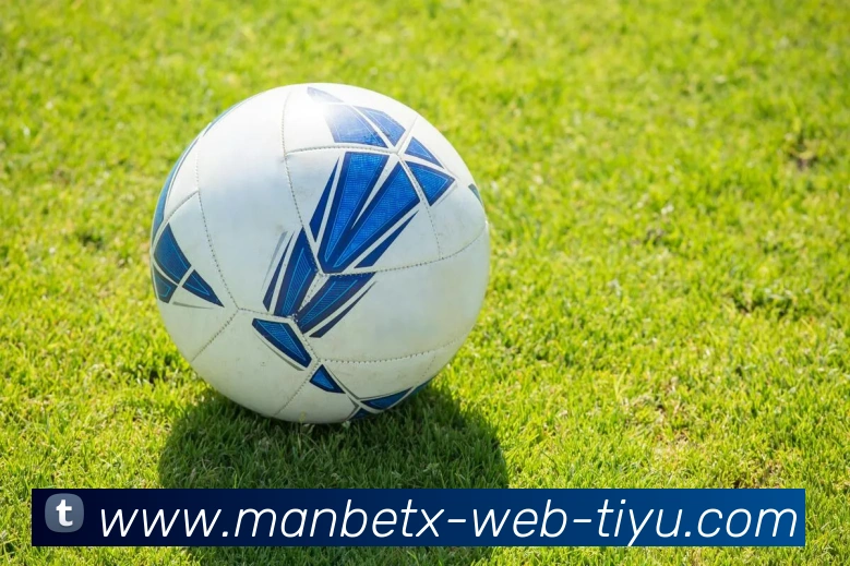 万博体育APP 高清赛事图